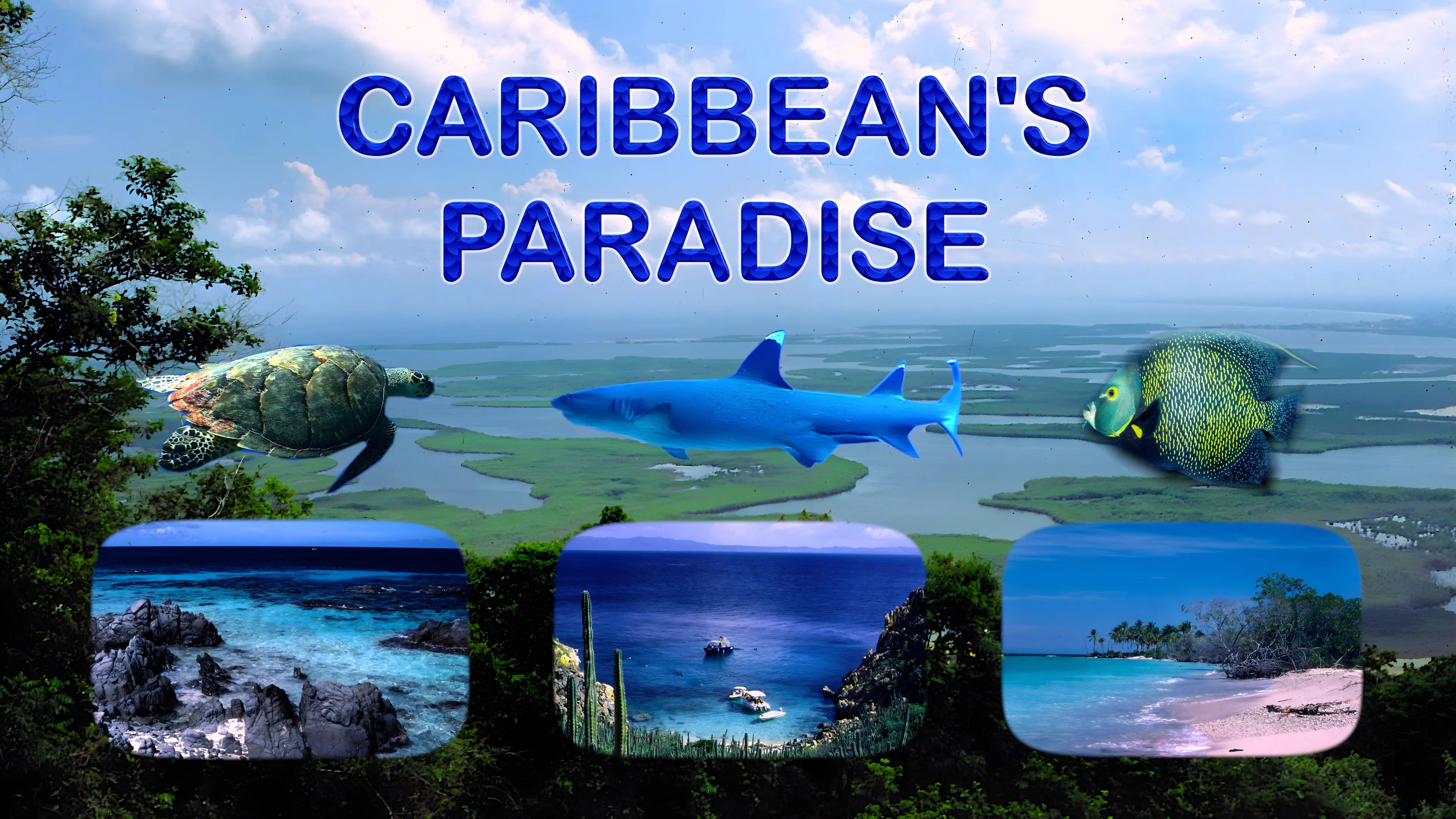 Caribbean's Paradise poster